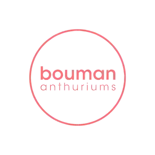 Productie Medewerker Anthuriums (Oogst)